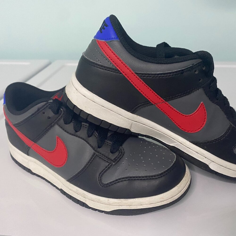 EUC Youth Custom Nike Dunk Low (Black, Grey, Red, Blue) 5Y or W6.5